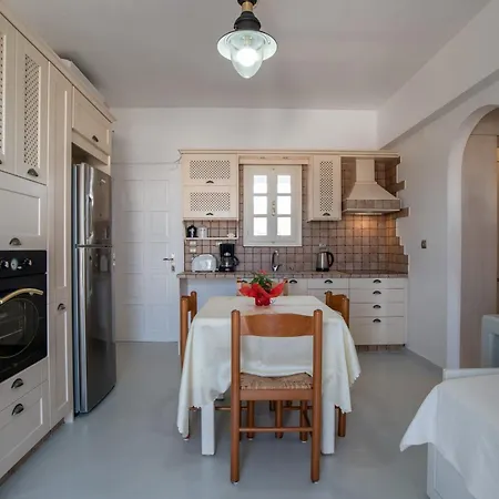 Lefkes Seaside Apartment